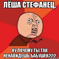 лёша стефанец, ну почему ты так ненавидешь бабушек???