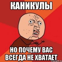 каникулы но почему вас всегда не хватает