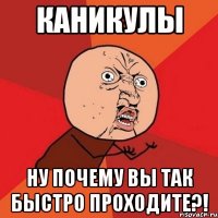 каникулы ну почему вы так быстро проходите?!