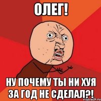 олег! ну почему ты ни хуя за год не сделал?!