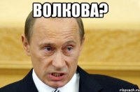 волкова? 