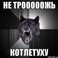 не трооооожь котлетуху