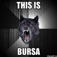 this is bursa