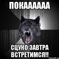 покаааааа сцуко завтра встретимся!!