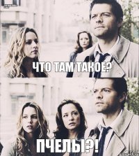 Что там такое? Пчелы?! SUPERNATURAL» LAND! 