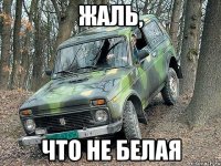 жаль, что не белая