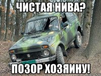 чистая нива? позор хозяину!