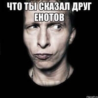 что ты сказал друг енотов 