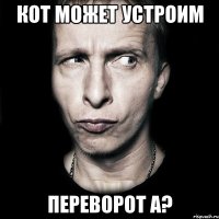 кот может устроим переворот а?