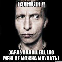 галюсік !! зараз напишеш, шо мені не можна мяукать)