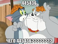 445436 чего 445436???