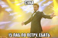 сука 15 лаб по петру, ебать