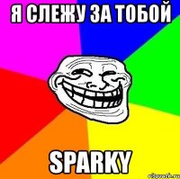 я слежу за тобой sparky