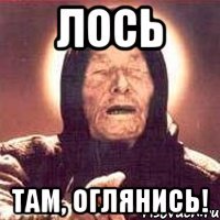 лось там, оглянись!