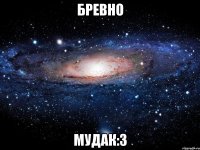 бревно мудак:3