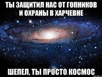 ты защитил нас от гопников и охраны в харчевне шепел, ты просто космос