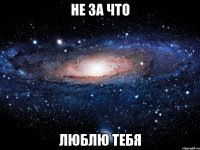 не за что люблю тебя