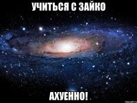 учиться с зайко ахуенно!