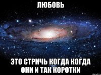 любовь это стричь когда когда они и так коротки