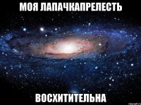 моя лапачкапрелесть восхитительна