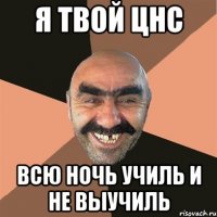 я твой цнс всю ночь училь и не выучиль