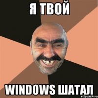 я твой windows шатал