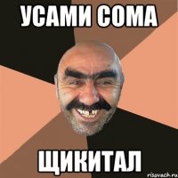 усами сома щикитал