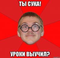 ты сука! уроки выучил?