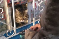 Создать мем 18 есть пидрила ебаная