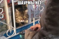 шаурмы нет 
