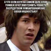 а что если котя на самом деле злой гений и хочет уничтожить планету посредством зомбирования нас своей няшностью? 