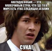 анатидаефобия — это навязчивый страх, что где-то в мире есть утка, следящая за вами сука!