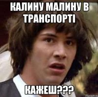 калину малину в транспорті кажеш???