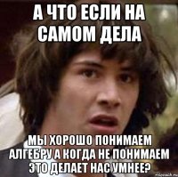 а что если на самом дела мы хорошо понимаем алгебру а когда не понимаем это делает нас умнее?