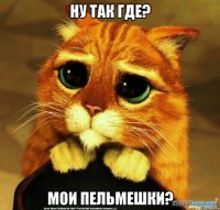 ну так где? мои пельмешки?