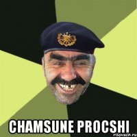  chamsune procshi