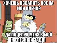 хочешь взвалить все на мои плечи? да поцелуй меня в мой железный зад!!!