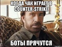 когда чак играет в counter-strike боты прячутся