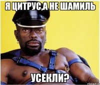 я цитрус,а не шамиль усекли?