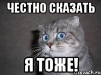 честно сказать я тоже!