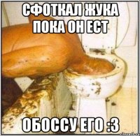 сфоткал жука пока он ест обоссу его :з