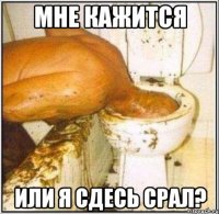 мне кажится или я сдесь срал?