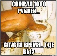 сожрал 1000 рублей... спустя время... где вы?