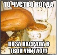 то чуство когда коза насрала в твой унитаз!!!