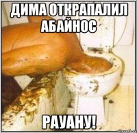 дима открапалил абайнос рауану!