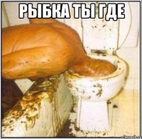 рыбка ты где 