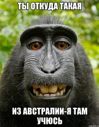 ты откуда такая из австралии-я там учюсь