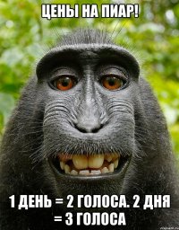 цены на пиар! 1 день = 2 голоса. 2 дня = 3 голоса