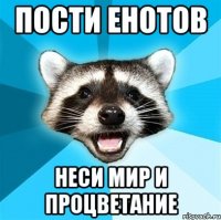 пости енотов неси мир и процветание