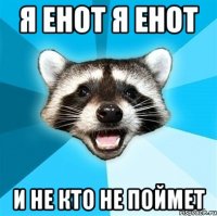 я енот я енот и не кто не поймет